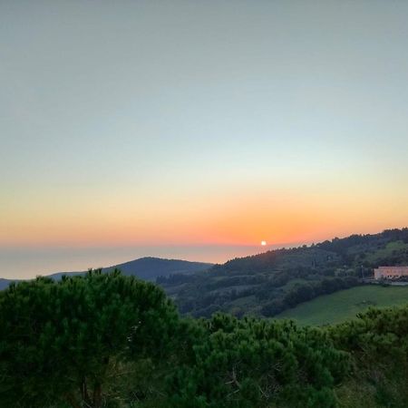 Vista Sulle Isole Dell'Arcipelago Toscano Nibbiaia Стая снимка
